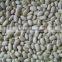 we are supply Small white kidney beans with good quality for sale