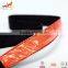 Custom Print Logo Wholesale Led Dog Collar and Leash                        
                                                                Most Popular