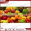 industrial watermelon juice extract machine