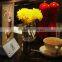 Powerbank 6000mah-13000mAh coffee shop power bank for starbucks