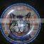 10 inches dinner plate 3D vacuum sublimation machine