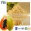 TTN Freeze Dried Fruit instant juice powders Dry Papaya Powder