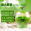 Household steam perfume diffuser GL-1156