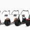 2016 hot selling 1000W 60V citycoco e scooter for adults with lithium battery