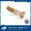 Tension control bolt