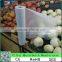 High quality transparent filler master batch for PP and PE products
