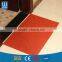 High quality PVC coil mat using for door or car in roll
