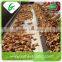Shandong price of fresh ginger from ginger exporter