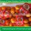 Baby Mandarin Orange / Nanfeng Orange /Fresh Mandarin Orange
