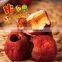 Freeze Dried Hawthorn Berry Powder Herbal Fruit Powder