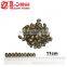 Raw Processing Type Water Melon Seeds