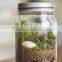 2015 glass mason jars wholesale and glass mason jar with lid and straw with matel lid