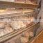 9LCDr-3168 Automatic H-type Multi-tier Broiler Cage for Chicken