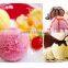 CT-112 Hard Ice Cream Machine