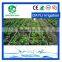 Subsurface Drip Irrigation Dripping Pipes