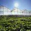 uv blocking PC Sheet Covered Greenhouse used For Vegetables