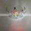 plastic crown with light