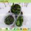 ECO-friendly Nonwoven Vegetable Protection