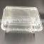 plastic blueberry packing box clear plastic vegetable box grapes packing boxes