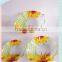frosted glass salad bowl set with decal