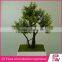Home decoration natural fake plastic bonsai plant indoor centerpiece home decking