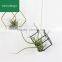 Tillandsia gold flower small metal container iron cubic geometry four airplant receptacle