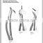 extracting forceps