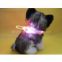 LED Dog Collar, Flashing Pet Collar, Lighting Strap