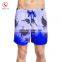 2017 brazilian boardshorts private label board short with your own print design
