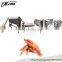 Chicken claw peeling machine line/ Chicken Feet Skin Peeling Blanching Machine Chicken Feet Production Line
