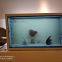 Transparent Display LCD Transparent Screen  LCD Transparent Screen For Sale