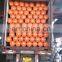 12.5KGS Lpg Gas Cooking Cylinders, Factory Price