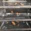 industrial sausage / meat / chicken / fish smoking oven machine