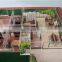 new product 3d design model of interior house plan layout