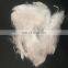 JC/ geotextile use white 6 denier 4 inch pp staple polypropylene fiber