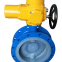 Flange tap butterfly valve