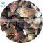 New Crop 2 - 4 cm / 4 - 6 cm Frozen Boletus Edulis