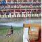 Paddy Field 2.2kw Mini Rice Power Weeder