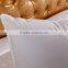 China duck proof fabic/feather pillow