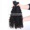 Fashion Afro Kinky Curly Indian Remy Hair Curly Weave Extension China Suppliers That Accept Paypal