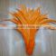 wholesale 65-70cm rooster tail feather, colour ostrich feather