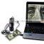 20x - 800x 2MP USB Digital Microscope Endoscope Video Camera Magnifier w/Driver