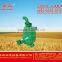 water pump 50ZB 65ZB 80ZB 100ZB