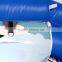 China Cute dolphine waterslide inflatable for pool