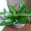 wholesale real touch artificial palm tree leaves