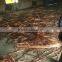 copper scrap wire scrap millberry 99.99%