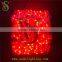 China Suppliers outdoor Garden decoration led clip light