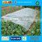 Agricultural PP Spunbond Nonwoven Fabric