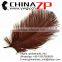CHINAZP No.1 Supplier in China Factory Exporting Wholesale from 8inch to 10inch Saddle Brown Ostrich Feathers for Sale
