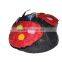 the Most Popular Coccinella Pinata With Unbelievable Monthly Sales Volume